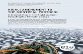 Kigali amendment to the montreal Protocol - EIA · PDF fileKigali amendment to the montreal Protocol: ... to collect and destroy HFC-23 by-product from 2020 to the extent practicable.9Additional