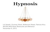 Hypnosis - University of Colorado Boulder · PDF fileHypnosis...A brief definition Also "hypnotherapy" or "hypnotic suggestion" Techniques designed to bring an individual into a hypnotic