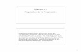 Capítulo 41 Regulacion de la Respiración - · PDF filemayoria dentro del nucleo del Haz Solitario (terminación sensorial de los nervios vago y glosofaringeo) los nervios X y XI
