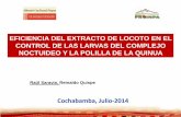 EFICIENCIA DEL EXTRACTO DE LOCOTO EN EL · PDF fileFrankliniella tuberosi Perisoma sordescens Anacuerna centrolinea Empoasca Liriomyza ... Quinoa and Nutrition in the Southern Bolivian