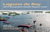 Laguna de Baypemsea.org/sites/default/files/Laguna de Bay 2013 Ecosystem Health... · Laguna de Bay, a special ecosystem Laguna de Bay is the largest inland waterbody in the Philippines