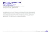 IP-OPTIMIZED MOBILE GATEWAY - TMCnet · PDF fileIP-Optimized Mobile Gateway ALCATEL-LUCENT WHITE PAPER 3 been integrated into the MGW itself. Integrated DPI approaches can be very