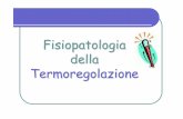 Fisiopatologia della Termoregolazione - · PDF fileAlterazioni Metaboliche nella febbre: aumento dei processi ossidativi con aumento del metabolismo basale -> glicogenolisiepatica