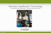 Biomass Gasification Technology - Toplozračne peči na ... · PDF fileBiomass Gasification Technology ... • Are based on entrained-flow ... • Various types of gasifier units need