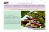 B vervie Pa ivars - University of Hawaii · PDF fileB vervie Pa ivars Musaceae (banana family) ... Species Profiles for Pacific Island Agroforestry ... (Palawan) in 1960