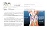 Traitement de l’arthrose du genou (varum) Persomed par ...clinique-fontvert.capio.fr/wp-content/uploads/sites/18/2014/10/... · 5 La réalisation d'une infiltration est parfois