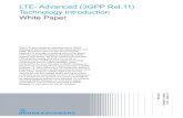 LTE- Advanced (3GPP Rel.11) Technology ... - Rohde & · PDF file(Global system for mobile communications), UMTS (Universal Mobile ... scenarios when the propagation delay for each