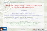 Nonlinear dynamics and transport processes - · PDF fileNonlinear dynamics and transport processes in the beam-plasma system ... E and beam distribution function Gare [Carlevaro et