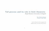 Bojan Basrak, University of Zagrebhomepages.uc.edu/~wangyz/misc/2016Workshop/Basrak.pdf · Tail process and its role in limit theorems Bojan Basrak, University of Zagreb The Fields