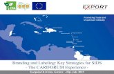 Branding and Labeling: Key Strategies for SIDS - The ...pafpnet.spc.int/attachments/article/309/Branding and Labeling - Key... · Branding and Labeling: Key Strategies for SIDS -