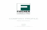 Mining and Industry - Fischer · PDF fileCOMPANY PROFILE Mining and Industry Delta Building ... Fischer Consulting Company Profile ... The development of a business plan and cash-flow