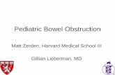 Pediatric Bowel Obstruction - Lieberman's .â€¢ Meconium ileus: A condition that typically occurs ... Canâ€™t Miss Cases of Pediatric Bowel Obstruction â€¢ There are a