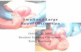 Small and Large Bowel · PDF fileSmall and Large Bowel Obstruction October 20, 2004 Resident Teaching Conference ... • Distinguished from ileus or pseudo-obstruction by: Location