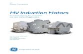 MV Induction Motors - Power Conversion · PDF fileMV Induction Motors GE Power Conversion. ... stability in the face of severe thermal and mechanical stresses. The rotor winding consists