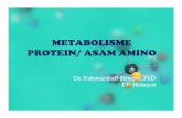 METABOLISME PROTEIN/ ASAM AMINO - ocw.usu.ac.idocw.usu.ac.id/course/download/1110000095-metabolism-system/mbs1… · diabsorpsi dari saluran pencernaan → PROSES PENCERNAAN . Perubahan