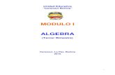 MODULO I ALGEBRA - · PDF fileTEORÍA: Presentación y análisis de ciertos cocientes que se obtienen p or simple inspección, sin que realizar la división. Cuaderno de apuntes. ...
