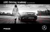 AMG Driving Academy Price List 2016/2017. - Mercedes · PDF fileAMG Driving Academy Price List 2016/2017. » Termin » Code » Date » Code 3. ... Basic training: emergency braking