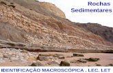 Rochas - geomuseu.ist.utl.ptgeomuseu.ist.utl.pt/MINGEO2010/Aulas teoricas/Tema 03 Petrologia e... · Rochas sedimentares Formam-se em ambientes geológicos superficiais ... Siltes: