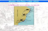 BRASIL COLÔNIA (1500-1822) -  · PDF filede-obra básica do Brasil durante todo o período colonial e imperial. Utilizados acima de tudo pelo fato de representarem