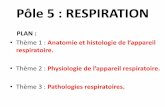 Pôle 5 : RESPIRATION - lycee-sainte- · PDF file•Thème 2 : Physiologie de l’appaeil espiatoie. •Thème 3 : Pathologies respiratoires. ... les tissus denses absorbent les rayons