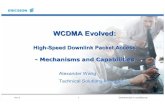 WCDMA Evolved - Wireless  .WCDMA Evolved: High ­Speed ... STANDARDIZED Integral part of WCDMA ... Basic Principles