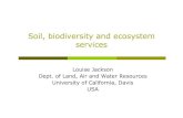 Soil, biodiversity and ecosystem  · PDF fileSoil, biodiversity and ecosystem services Louise Jackson Dept. of Land, Air and Water Resources University of California, Davis USA