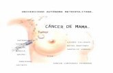 CÁNCER DE MAMA - Universidad Autónoma Metropolitanaenvia.xoc.uam.mx/tid/investigaciones/C/Cancer de...  · Web viewDentro de los tumores malignos, ... 556,170 personas cuentan