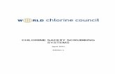 CHLORINE SAFETY SCRUBBING SYSTEMS - The World Chlorine · PDF fileInstallations handling chlorine generate gaseous effluents that need to be treated ... (definitions for the material