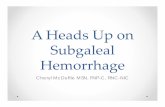 A Heads Up on Subgaleal Hemorrhage - Children's · PDF fileA Heads Up on Subgaleal Hemorrhage Cheryl McDuffie MSN, FNP-C, RNC-NIC. Disclosures ... Case of Baby Jane • Despite NICU