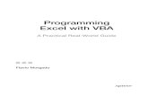 Programming Excel with VBA - Home - Springer978-1-4842-2205-8/1.pdf · Programming Excel with VBA A Practical Real-World Guide Flavio Morgado