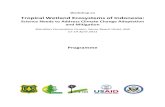 Tropical Wetland Ecosystems of Indonesia - Forest · PDF fileTropical Wetland Ecosystems of Indonesia: ... (Cecep Kusmana, Bogor ... mangrove forests in Pasang Kayu area of the Mamuju