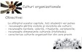 Culturi organizationale Obiective · PDF file“Webster’s New Collegiate Dictionary” formuleaza notiunea de cultura organizationala ca fiind “un model de integrare a comportamentului