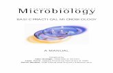 BASIC PRACTICAL MICROBIOLOGY - · PDF fileBASIC PRACTICAL MICROBIOLOGY A MANUAL Compiled by John Grainger, Chairman of MISAC Janet Hurst, Deputy Executive Secretary of SGM ... Volume