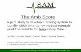 The Amb Score - Acute · PDF file4th International Conference, Society for Acute Medicine, Edinburgh 7-8 October 2010 The Amb Score A pilot study to develop a scoring system to identify