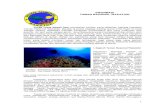 INFORMASI TAMAN NASIONAL WAKATOBI - storage.jak …storage.jak-stik.ac.id/ProdukHukum/kehutanan/Wakatobi.pdf · beragam hewan laut seperti ikan paus, ... ekosistem wilayah ekologi