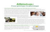 Albinism - xy-zooxy-zoo.com/files/16-Albinism.pdf · Albinism also reduces pigmentation of the colored part of the eye known as the ... rapid, involuntary eye movements (nystagmus),