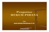Pengantar HUKUM PIDANA (rev) - Joeni Arianto Kurniawan · PDF fileLatar Belakang & Hakekat Hukum Pidana: interaksi selaras tidak selaras Manusia kepentingan Manusia kepentingan Pengantar