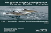 The Animal Welfare Implications of - WDC, Whale and ...uk.whales.org/sites/default/files/wdc-bycatch-report-2008.pdf · The Animal Welfare Implications of Cetacean Deaths in Fisheries
