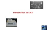 Basics of Cell Culture - Home | Jamestown Community · PPT file · Web view · 2017-01-02The Central Dogma of Biology Structure of DNA DNA Replication and DNA Polymerase Polymerase
