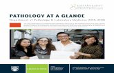 PATHOLOGY AT A GLANCE - ubc · PDF fileThe UBC Department of Pathology and Laboratory Medicine is the academic home to a wide variety ... Pathology at a Glance Administration Human