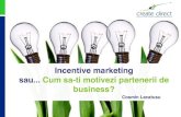 Incentive marketing sau Cum sa-ti motivezi partenerii de ... · PDF filescheme (C) Create Direct, 2012. ... Mare varietate de premii (electronice, electrocasnice, jucarii, bijuterii,