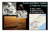 Louis and Mary Leakey at Olduvai Gorge - Knox Collegecourses.knox.edu/anso101/08TheLeakeys.pdf · Louis and Mary Leakey at Olduvai Gorge. OH 5 “Zinj ... Richard Leakey and Roger