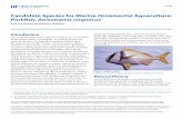 Candidate Species for Marine Ornamental Aquaculture ...edis.ifas.ufl.edu/pdffiles/FA/FA18700.pdfCandidate Species for Marine Ornamental Aquaculture: Porkfish, Anisotremis ... and corocoro