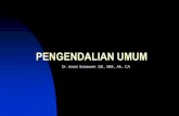 PENGENDALIAN UMUM - Gunadarma Universityimas.staff.gunadarma.ac.id/Downloads/files/40692/... · pengorganisasian dan pengkoordinasian saja, ... Keamanan fisik ... Pengembangan standar