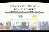 LEAN SIX SIGMA BLACK BELTleansixsigmaindia.org/.../kinduz-lean-six-sigma-black-belt.pdf · LEAN SIX SIGMA BLACK BELT CERTIFICATION PROGRAM Computer Society of India KINDUZ INDIA’s