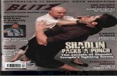 shaolinmonkmartialarts.comshaolinmonkmartialarts.com/images/articles/article_Blitzmag_3.pdf · FIST Understanding the Shaolin Temple's fighting forms BY MASTER SHIFU BRETT I IMAGES