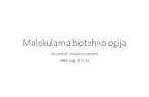Molekularna biotehnologija - studentski.netstudentski.net/get/ulj_fkt_bi2_mol_sno_gensko_spremenjene_rastline... · Rastlinska biotehnologija Gensko spremenjenih je že več kot 140