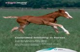 Controlled breeding in horses - MSD Animal Health · PDF fileFor maiden and barren Thoroughbred mares especially, but also for other breeds that wish to produce early foals such as