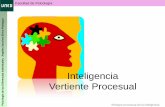 Inteligencia Vertiente Procesual - OCW UNEDocw.innova.uned.es/ocwuniversia/psicologia/psicologia-diferencial/... · La Psicología Diferencial cognitiva: ... psicométrico correspondiente-