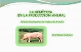 LA GENÉTICA EN LA PRODUCCIÓN ANIMAL: DEFINICIÓNucv.ve/fileadmin/user_upload/facultad_agronomia/Producion_Animal/... · luego de la muerte del animal el ph desciende desde 7,0 ...